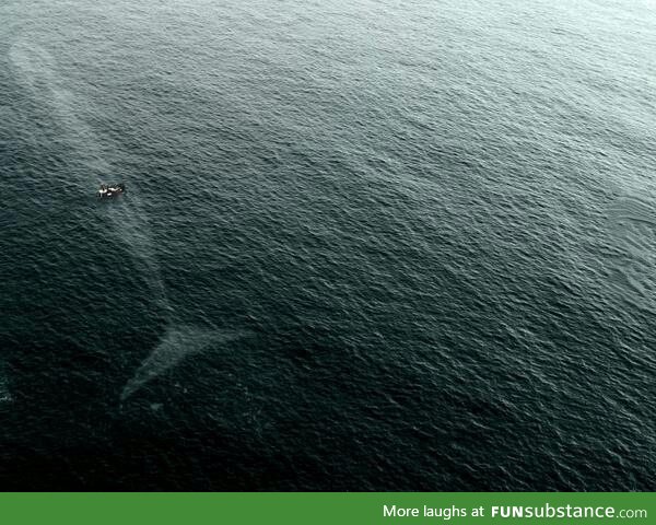 Why I'm scared of the ocean