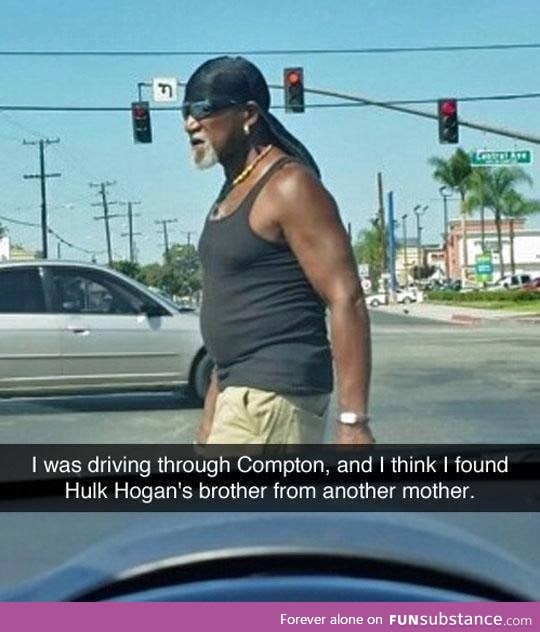 Hulk Hogan from another mother