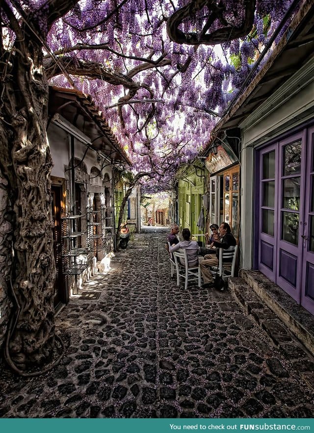 Magical flower street in Greece