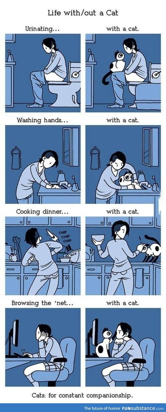 Life with Cats