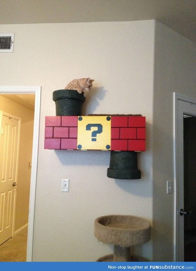 Awesome Super Mario Bros cat condo