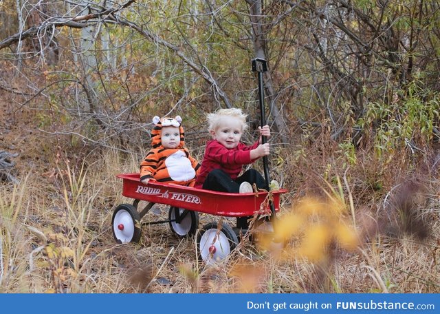 Calvin and Hobbes out for a ride