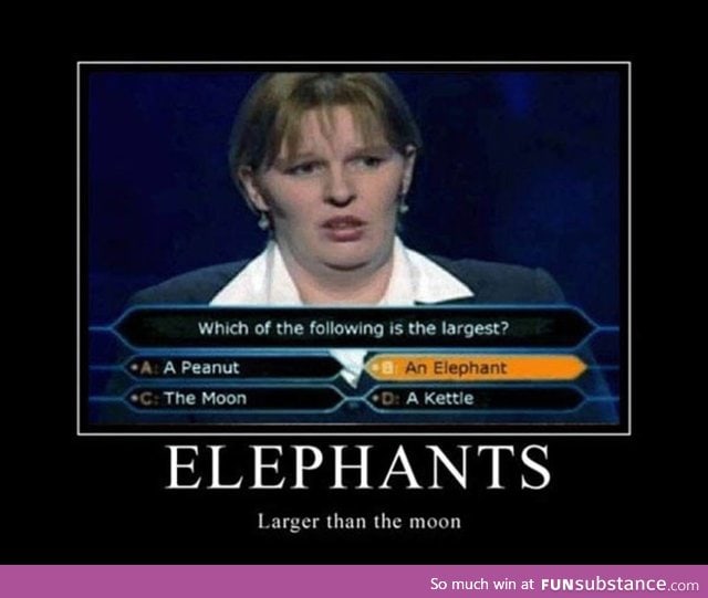 Elephants or The Moon?