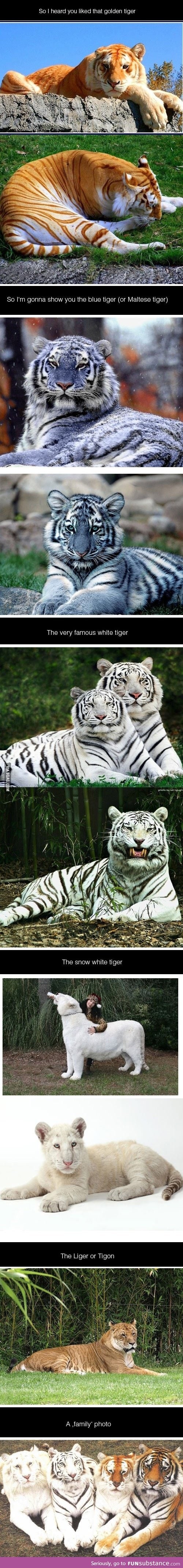 I heard you like Tigers...