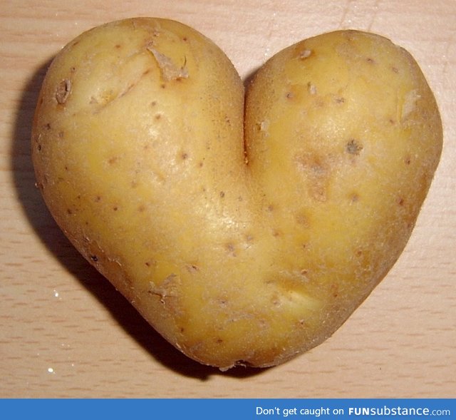 Potato loves you