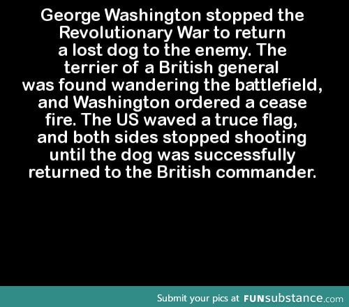George Washington stopped the Revolutionary War to return a lost dog to the enemy