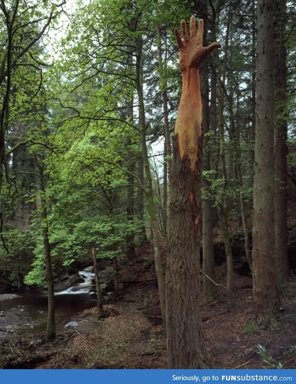 Carved tree in a forest