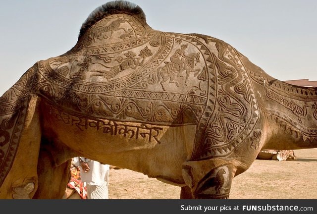 Camel haircut