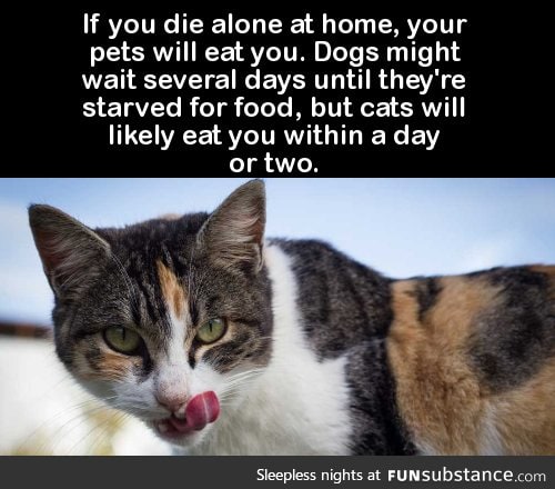 If you die alone at home, your pets will eat you