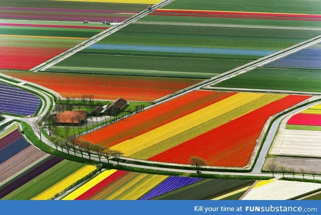 Contrasted Crops? I'd like to welcome you to the Netherlands!