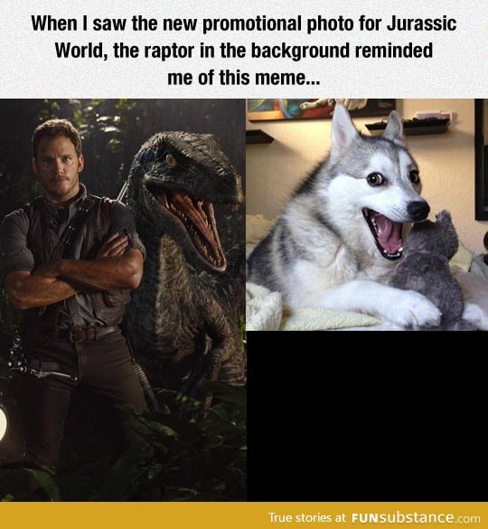 The raptor in the background