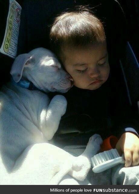 Brushing the dog and fell asleep together ..!!!