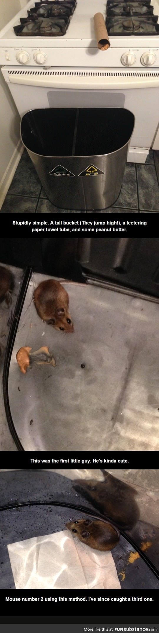 This ingeniously simple mouse trap really worked