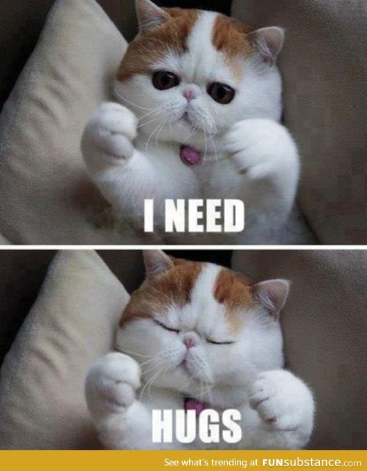 Kitty needs hugs