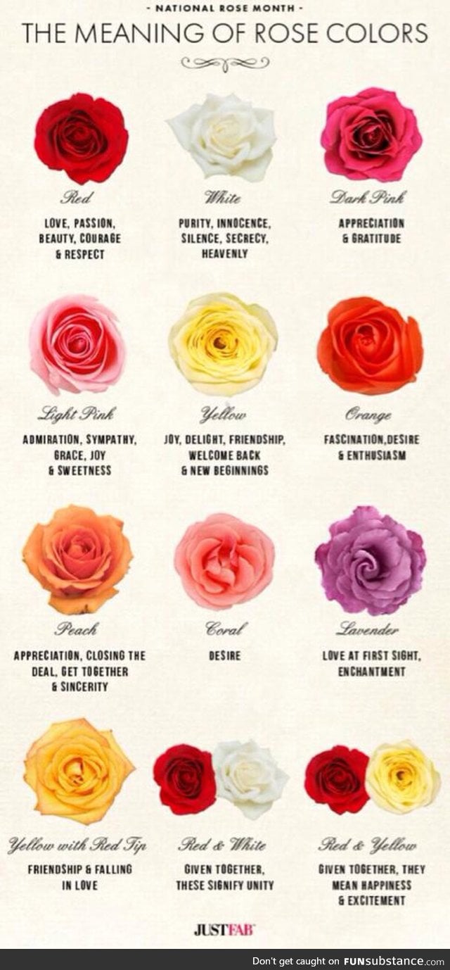 Just in case you were thinking of giving someone a bunch of roses