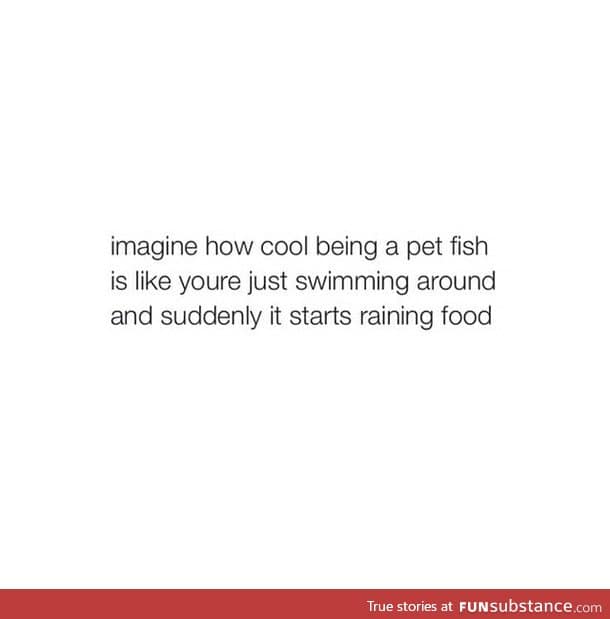 I wanna be a pet goldfish when I grow up