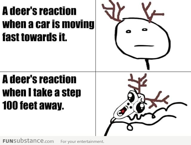 Deer's logic