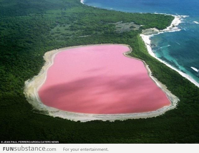 Pink lake in Australia