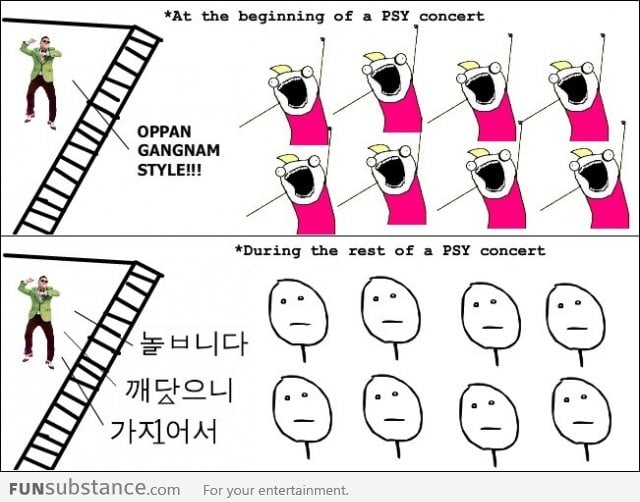 Reality of a PSY concert