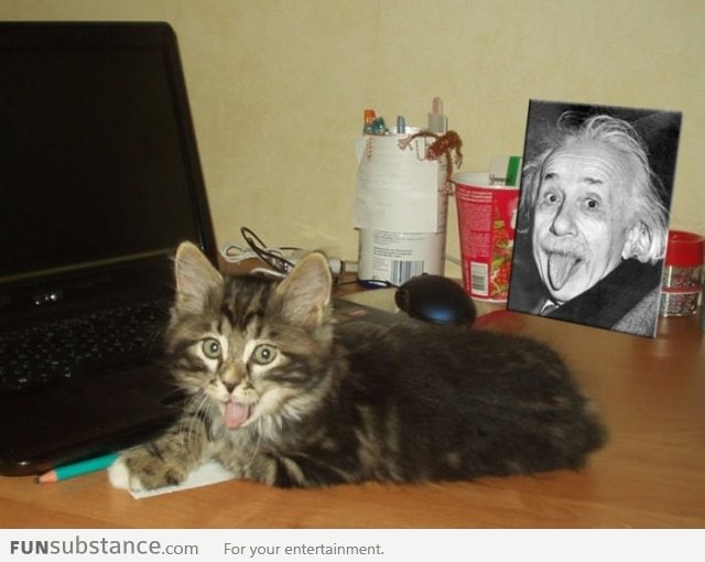 Albert Einstein's cat!