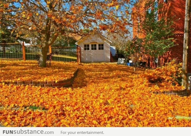 That's why I love autumn