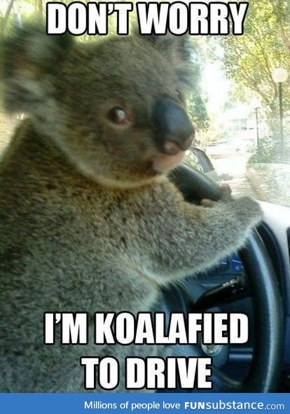 Hi! Im not a funsubstance guest anymore I hope I'm koalafied to be accepted