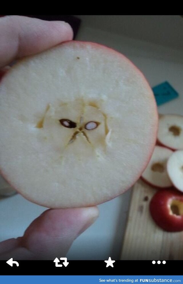 Grumpy cat...In my apple?