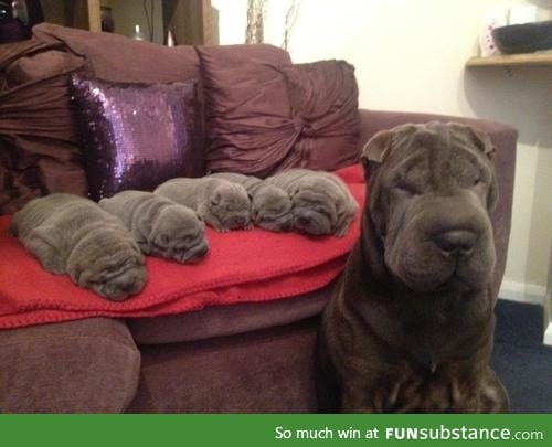 "I, a big wrinkle, made all of these smaller wrinkles"