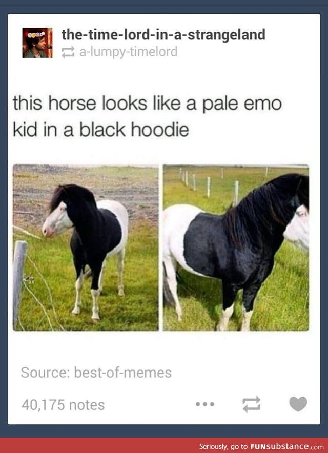 Emo horse