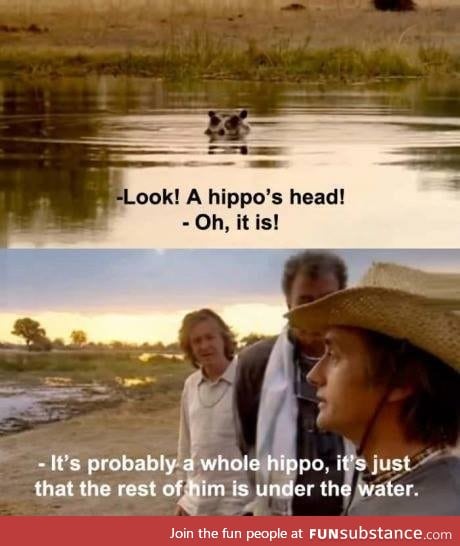 Hippo