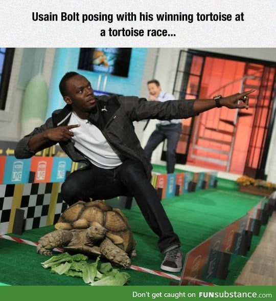 Usain Bolt's Tortoise