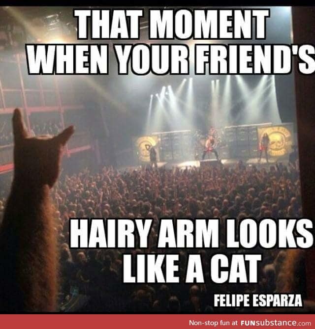 When your friends hairy arm looks like a cat