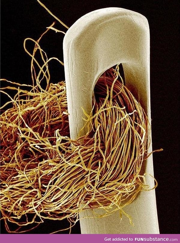 A thread through a needle's eye, zoomed in a lot