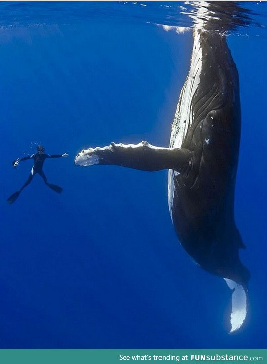 Literally one of the biggest high fives ever
