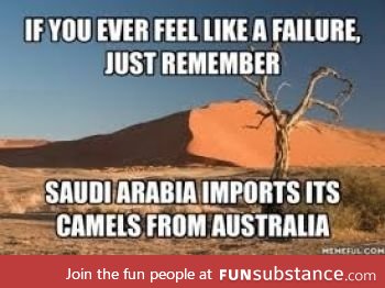 God damnit Saudi Arabia