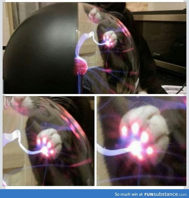 This is what happens when a cat touch a plasma ball