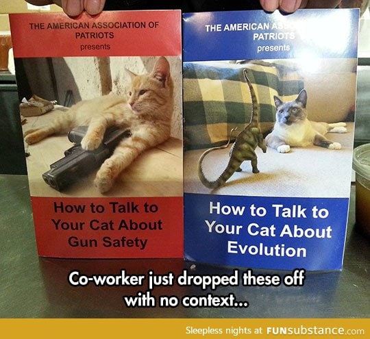 Kitty education is very important