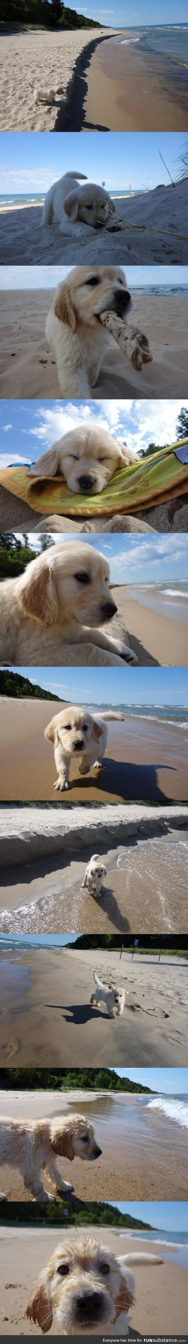 First trip to the beach? That's golden!