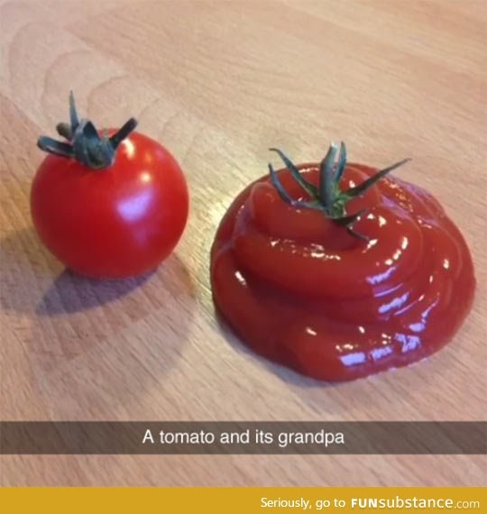 Tomato family
