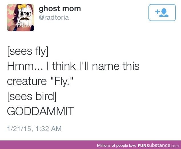 Fly.