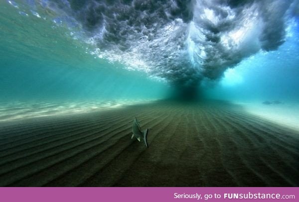 Calm under the waves