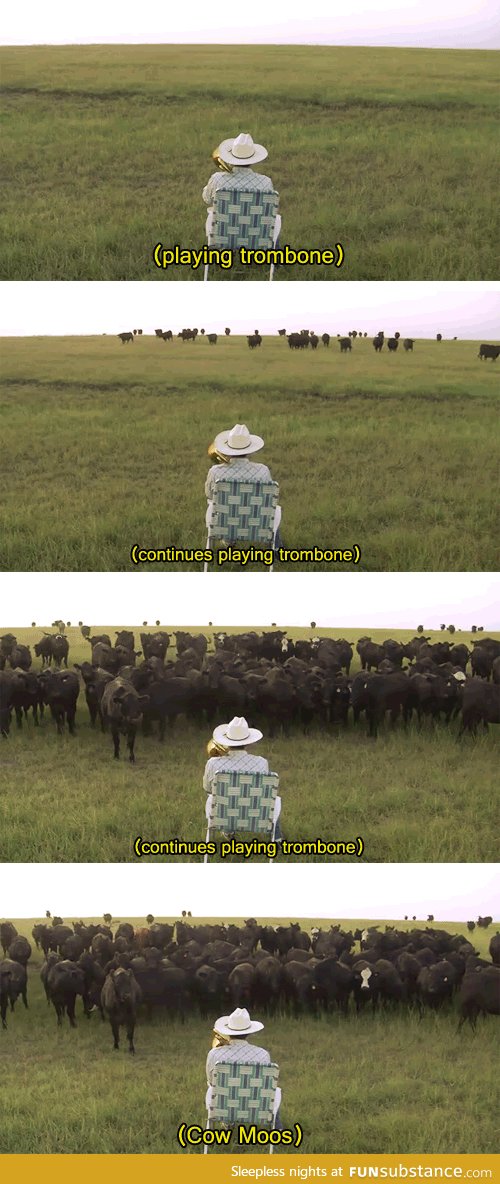 Serenading the Cattle