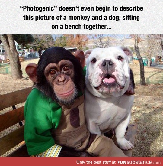 Photogenic friends