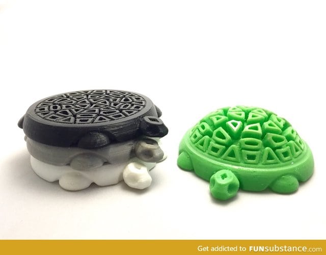 Tortoise Coasters