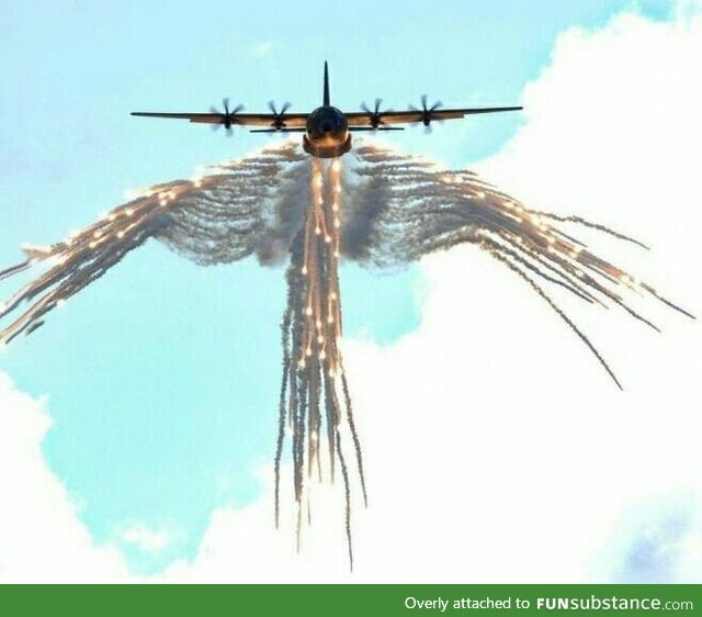 Wings of death
