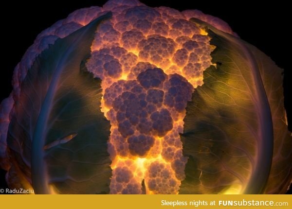 Light Within a Cauliflower