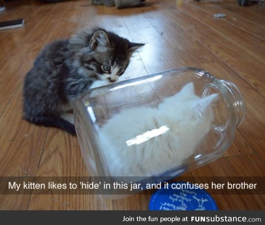 Hiding in the jar