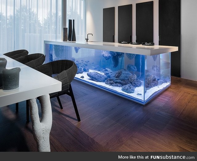 This kitchen island has an aquarium inside it