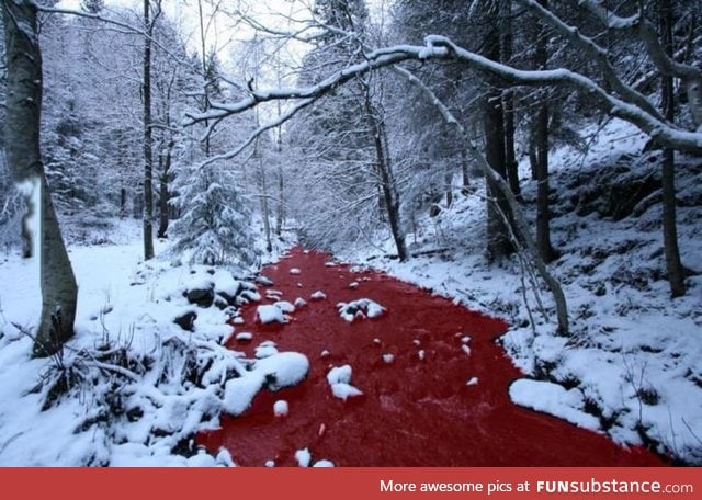 River of blood, in Norway