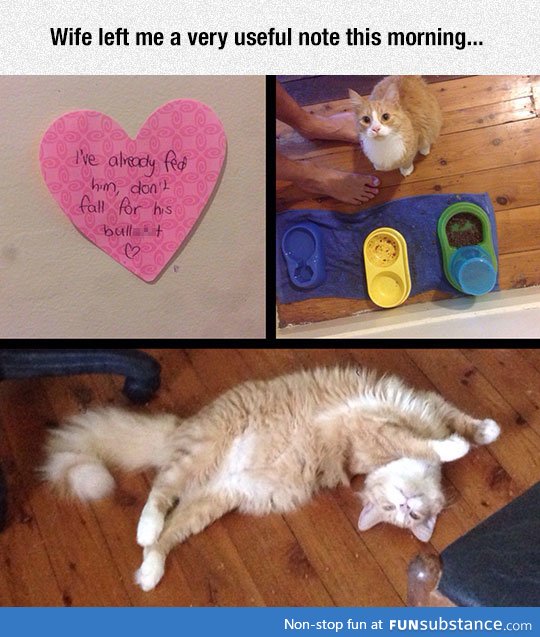 This cat uses clever tactics to get what he wants